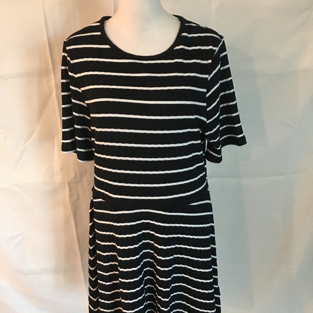 DIVIDED -  NWOT